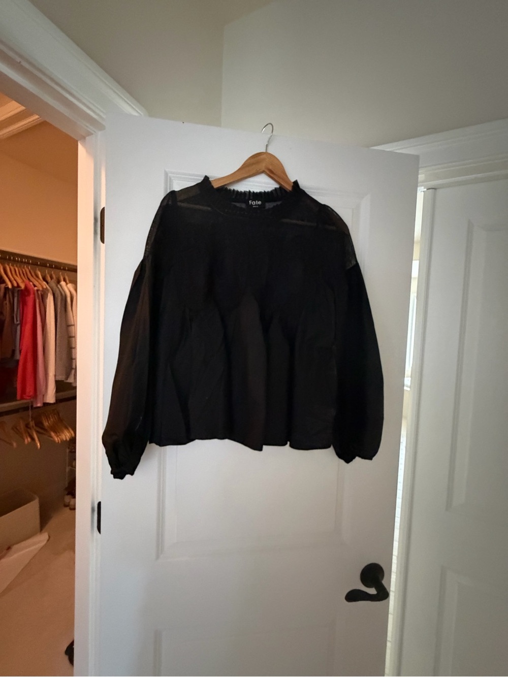 Fate Black Sheer-Detail Long Sleeve Blouse